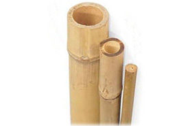 Bambusni štapovi