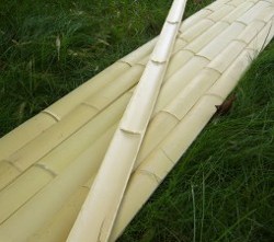 bambusna lamperija