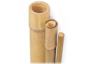 Bambus štap